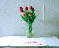 13.-tulips-and-raspberries-2018 thumbnail